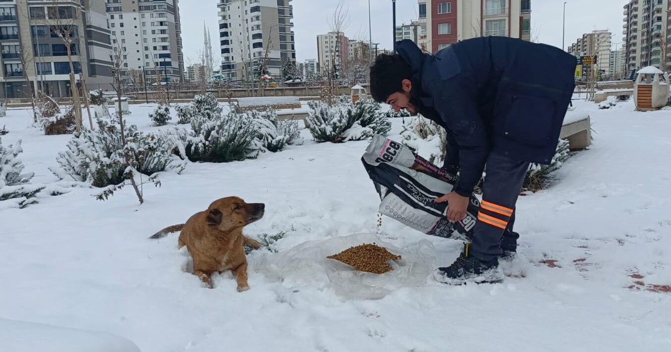 P H O T O 2026 01 21 10 47 10