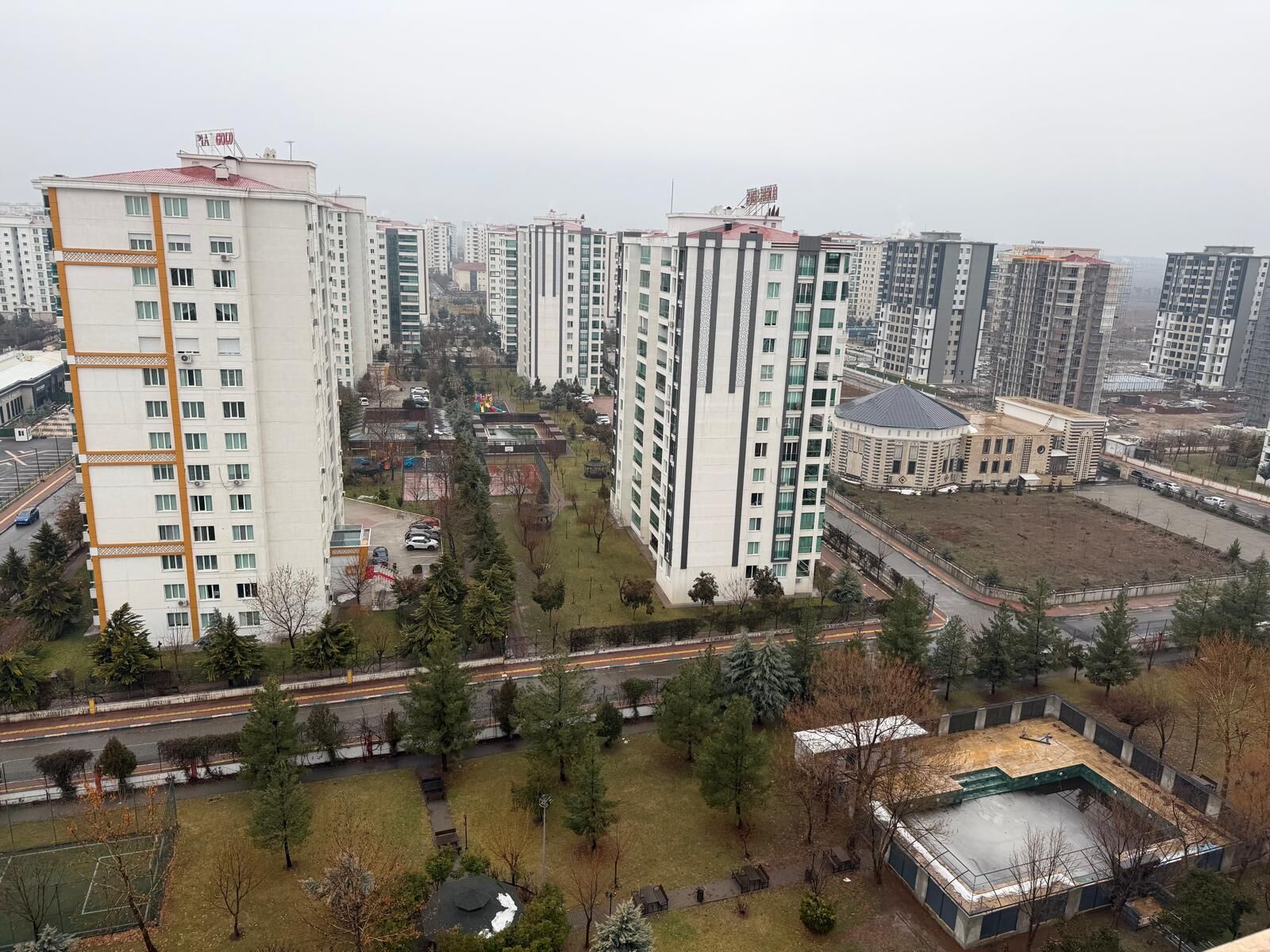 P H O T O 2026 01 31 20 13 33