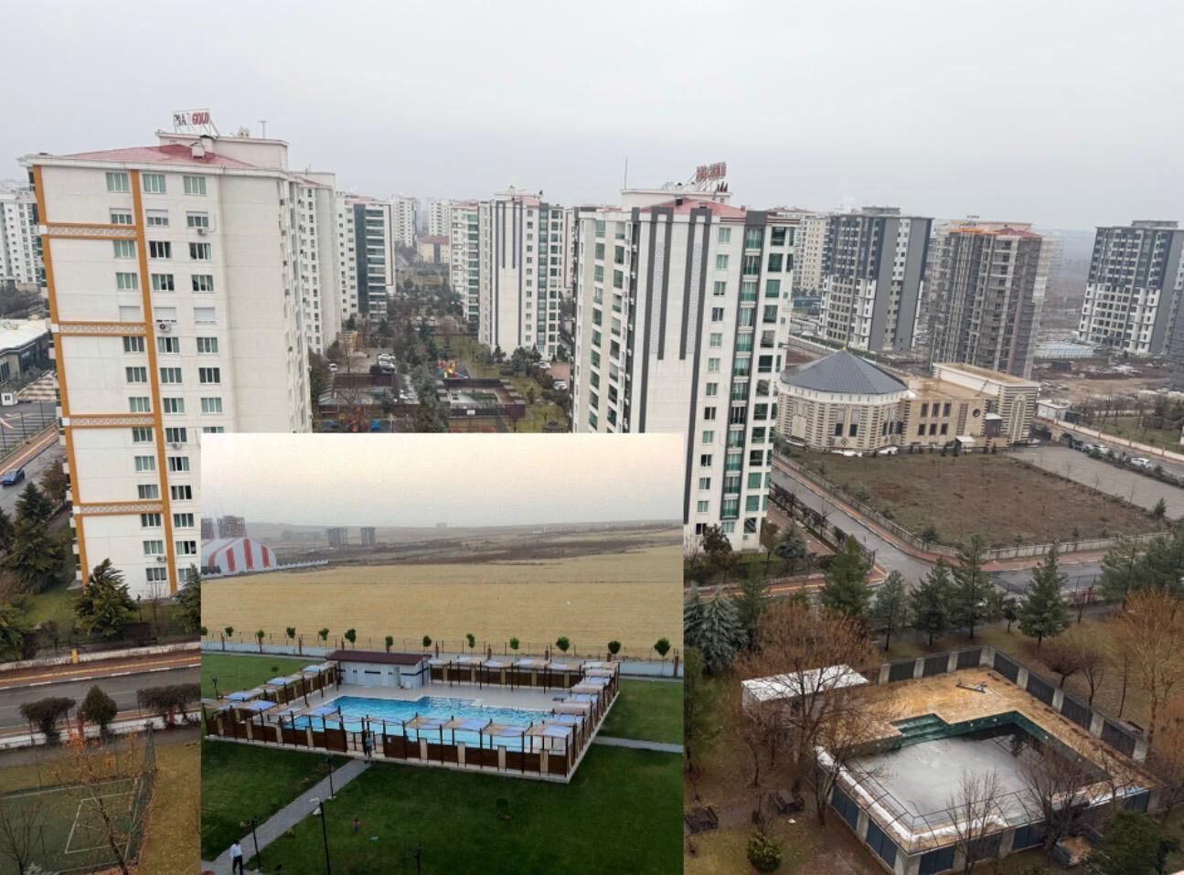 P H O T O 2026 01 31 20 16 09