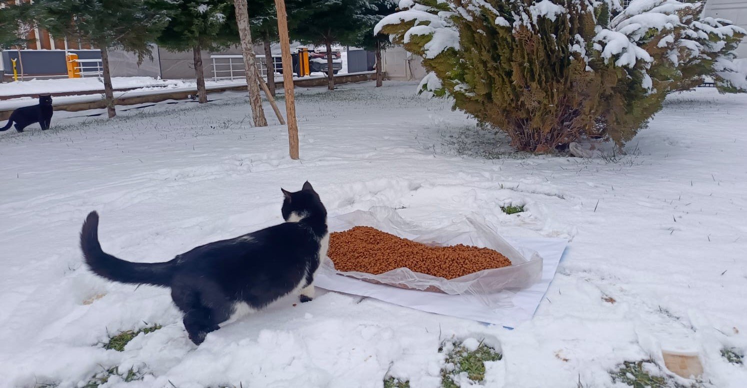 Photo 2026 01 21 10 47 10 2