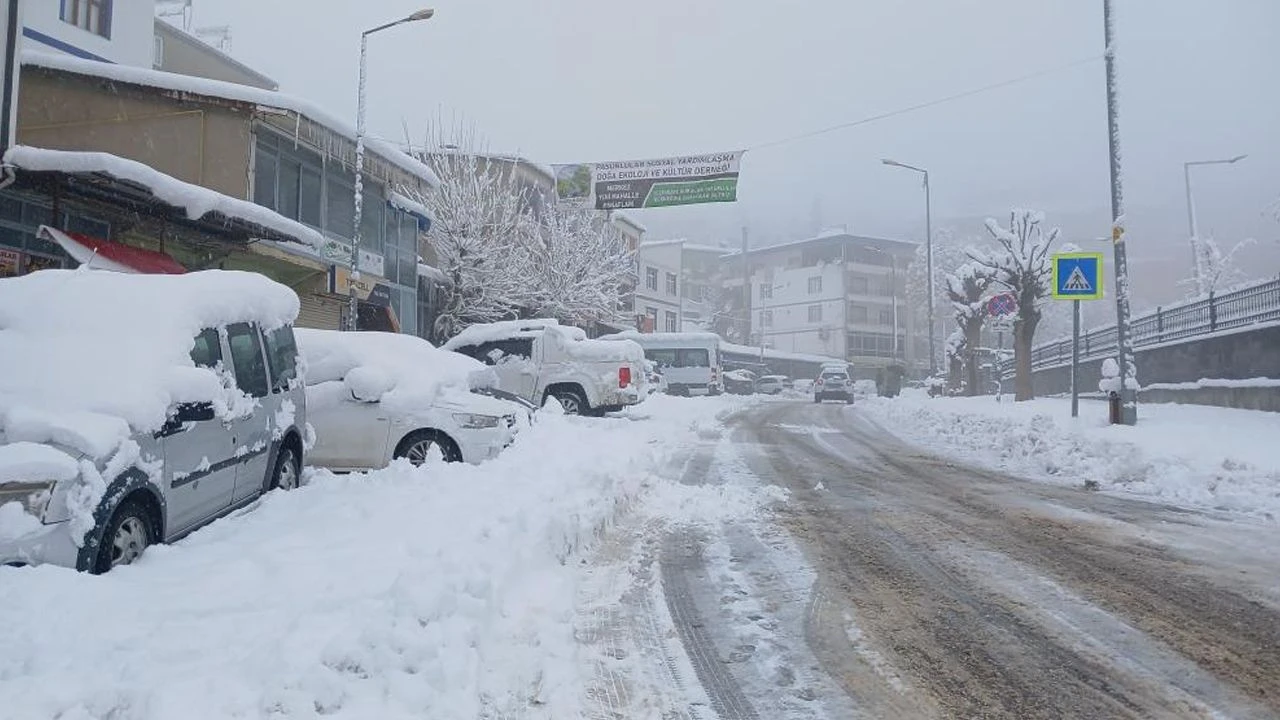 Diyarbakir Kulpta Kar Esareti1