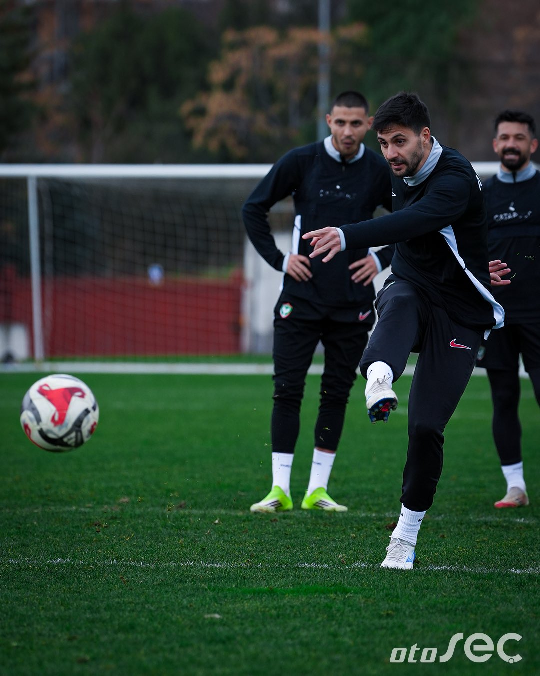 H Af C Sp8 X I A Arem4