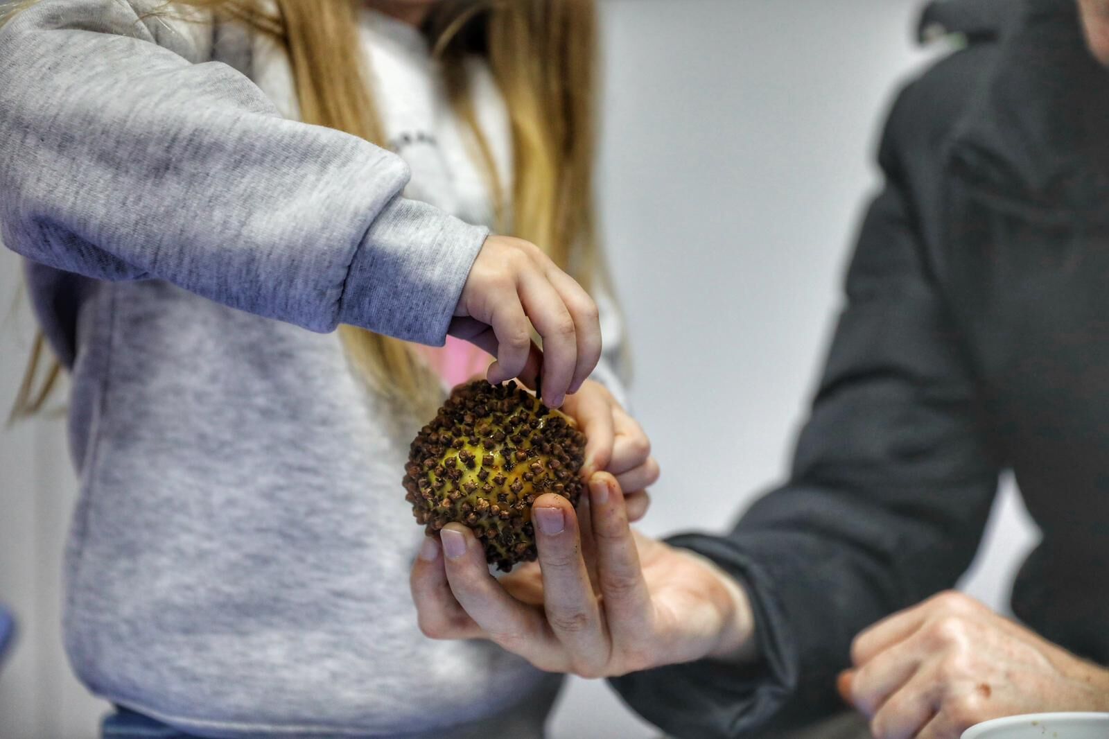 Whatsapp Image 2026 02 09 At 09.28.44