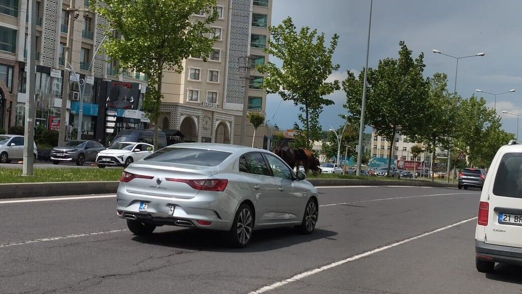 Diyarbakır'ın modern yüzüne yakışmayan manzara