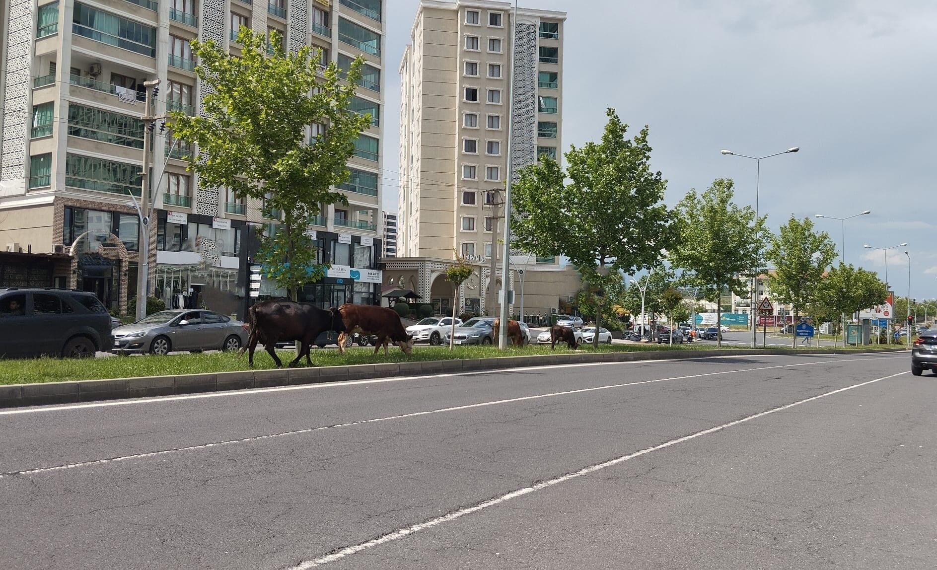 Diyarbakır'ın modern yüzüne yakışmayan manzara