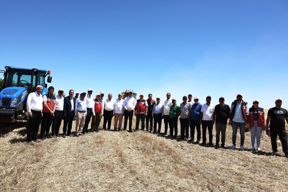 Diyarbakır Sur'da hasat başladı