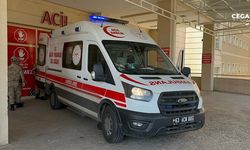 Siverek'te yılanı vurmak isterken ailesini yaraladı