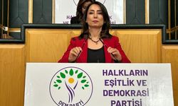 Hatimoğulları'ndan 'İmralı görüşmesi' açıklaması
