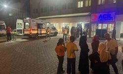 Siirt’te kaza: çok sayıda fıstık işçisi yaralandı