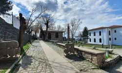 Diyarbakır tarihinde dikkati çeken siyasi af