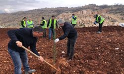 100 bin ton toprak ile 70 dönüm doğaya kazandırıldı