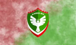 PFDK'dan Bodrum FK ve Amedspor'a ceza yağdı