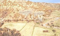 Bingöl'de köy halkı bazalt ocağına karşı ayakta