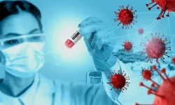 H3N2 Virüsü Alarmı! H3N2 Virüsü nedir?