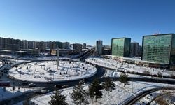 Diyarbakır'da kurallara uymayanlar böyle tespit edildi