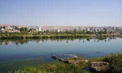 Görkemli Dicle Nehri'nin izini süren 2 kadın