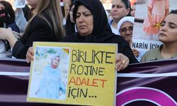 Rojin Kabaiş soruşturmasında DNA izleri sürülüyor