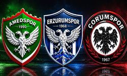 Amed, Erzurum ve Çorum aynı amblemli