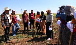 Diyarbakır'da çalışanlara tarlada ziyaret