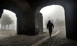 Diyarbakır'a gelmişler, amaçları bambaşkaymış