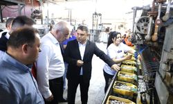 Diyarbakır'da ipek böcekçiliği eğitimi