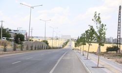 Diyarbakır Mardin Yolu 14 kilometre boyunca değişiyor