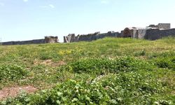 Diyarbakır vergiyi alınca, gümrük krizi yaşanmış