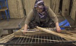 Diyarbakır Hasırlı Mahallesi'nin adı nereden geliyor