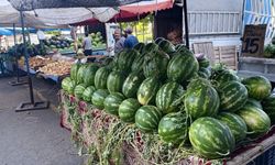 Çift çizgili karpuzların daha tatlı olduğunu biliyor musunuz?