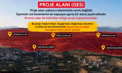 Yaşam mücadelesinin adı olan Dicle’nin feryadı