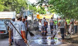 Diyarbakır'da temizlik seferberliği