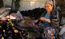 Diyarbakır'da kışlık kurutmalık telaşı başladı
