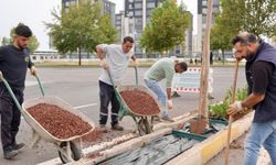 Diyarbakır’da 930 metrelik refüj yeşile bürünüyor