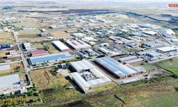 Diyarbakır'dan Avrupa ve Orta Doğu'ya donuk gıda hamlesi!