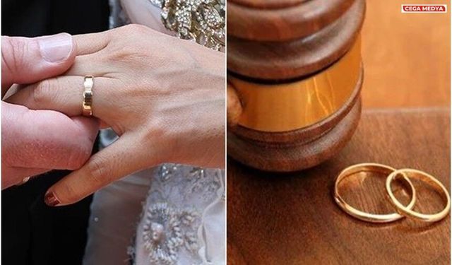 Kedinin velayetini eşine bıraktı: 3 ayda bir 10 bin lira ödeyecek