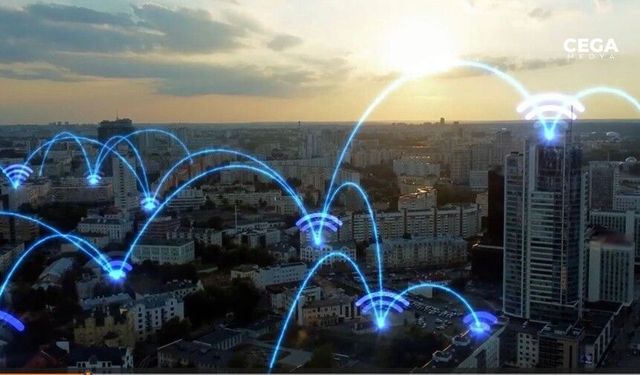 İçişleri Bakanı: Siber suçlarla mücadelede 204 şüpheliyi yakaladık