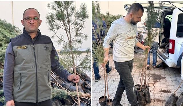 Siirt'te 18 bin 200 fidan dağıtımı