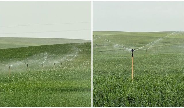 Şanlıurfa'da atık sular yeşil alanları sulamaya başladı