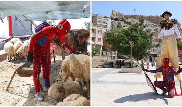 "Örümcek Adam" Mardin'de