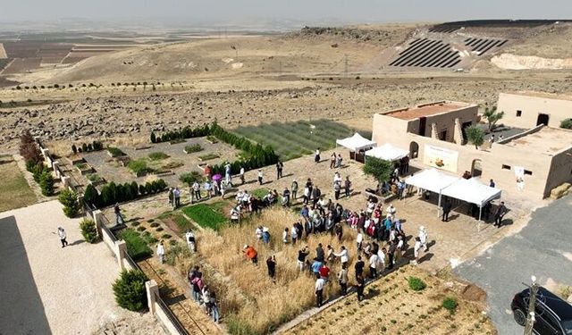Slow Wheat Şanlıurfa 2025 etkinliği