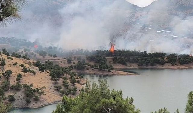 Adıyaman’da orman yangını