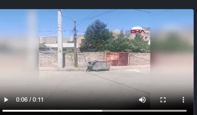 Mardin’de çevreci minik kıza bisiklet ödülü