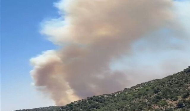 Gabar Dağı’nda orman yangını çıktı