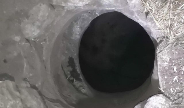 Kuyuya düşen keçiyi itfaiye ekipleri kurtardı