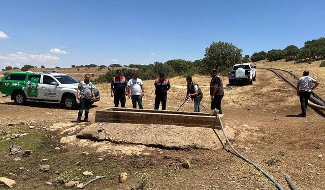 Batman’da yaban hayvanları için su seferberliği