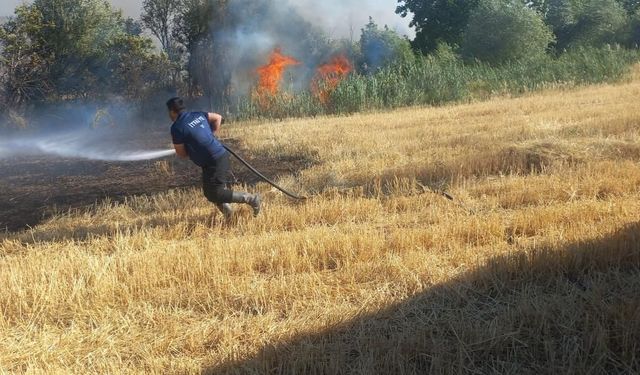 Balya makinesi tarlayı yaktı
