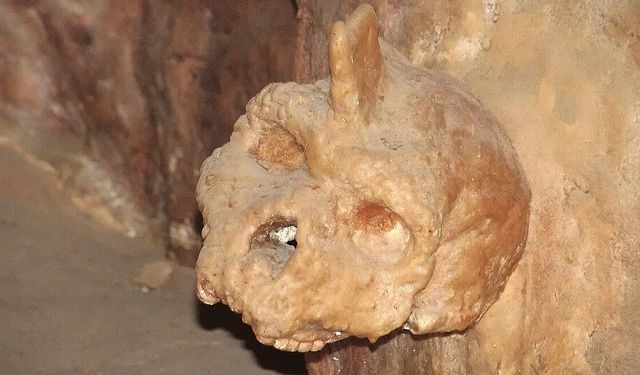 300.000 yıllık kafatasları modern insanla bağlantısız çıktı