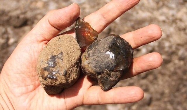112 milyon yıllık kehribar bulundu