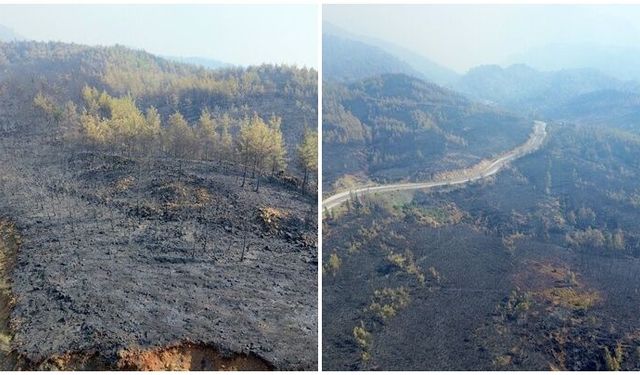 Orman yangınlarında 16 ev küle döndü