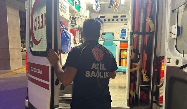Şırdancı Mehmet kaza yaptı: Yayanın kolu ve bacağı kırıldı